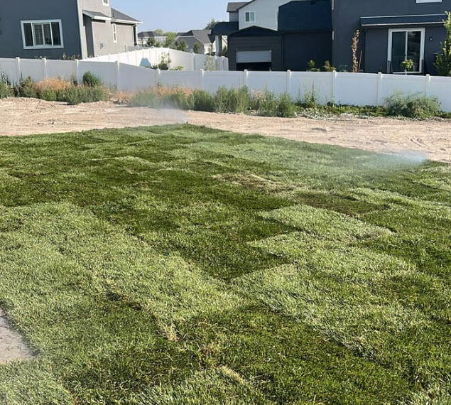 Sod Installation