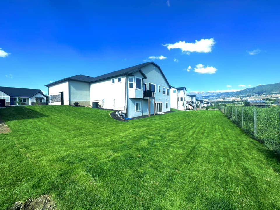 Landscape Maintenance