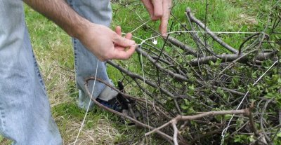 Storm Debris Disposal