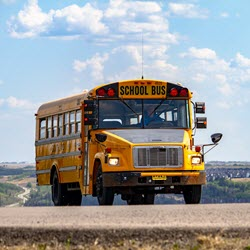 Transport to/from School