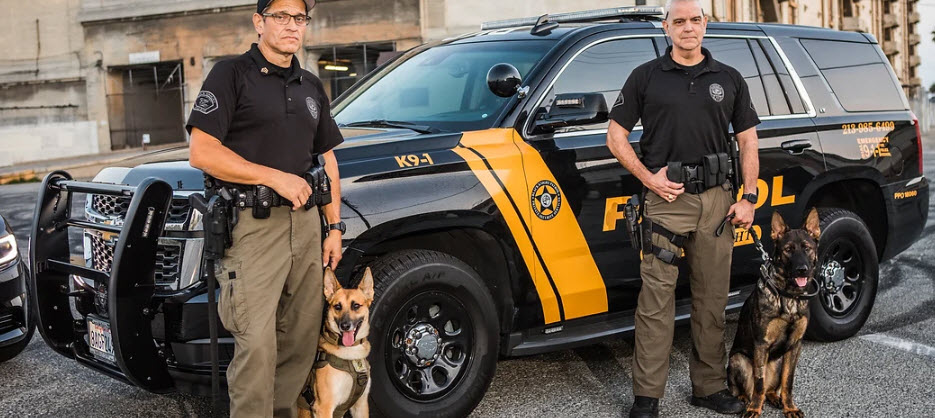 Explosives Detection K9