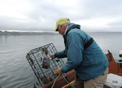 Crabbing