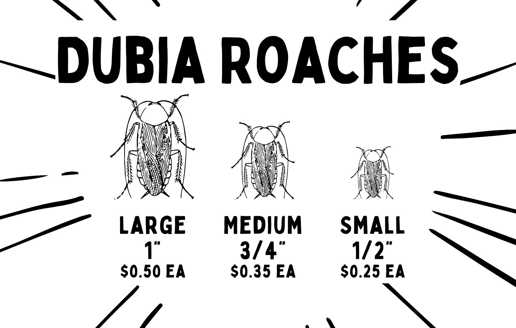 Feeder Insects & Frozen Feeders