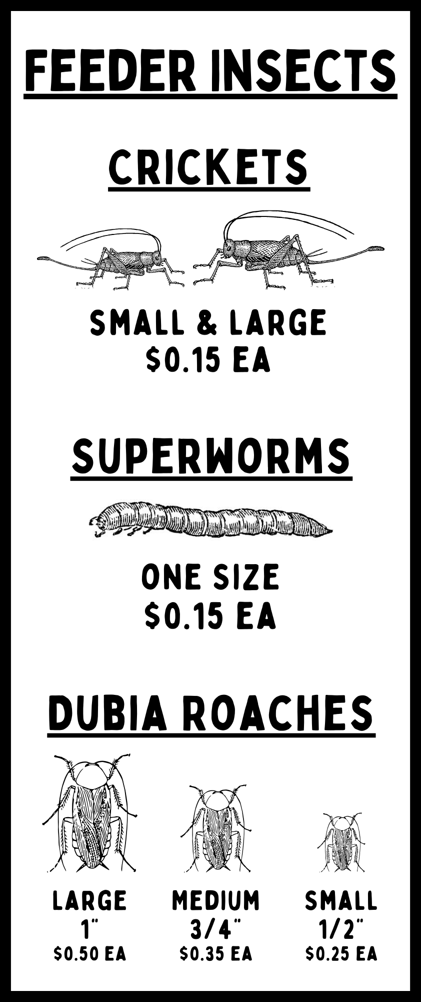 Feeder Insects & Frozen Feeders