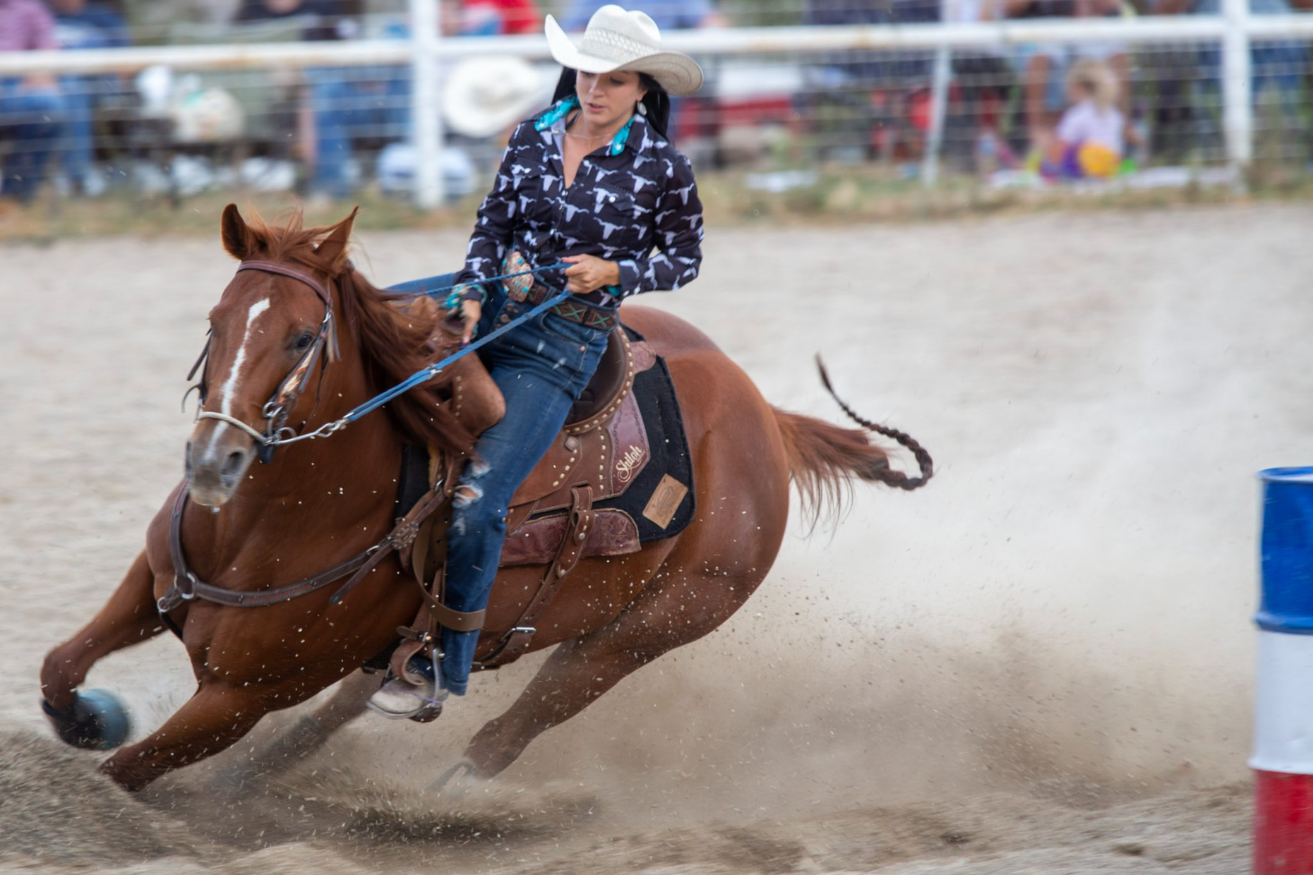 Cedar Valley Rodeo