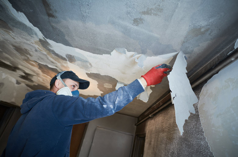 Mold Remediation