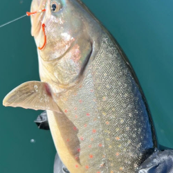 Fishing Workshops & Clinics