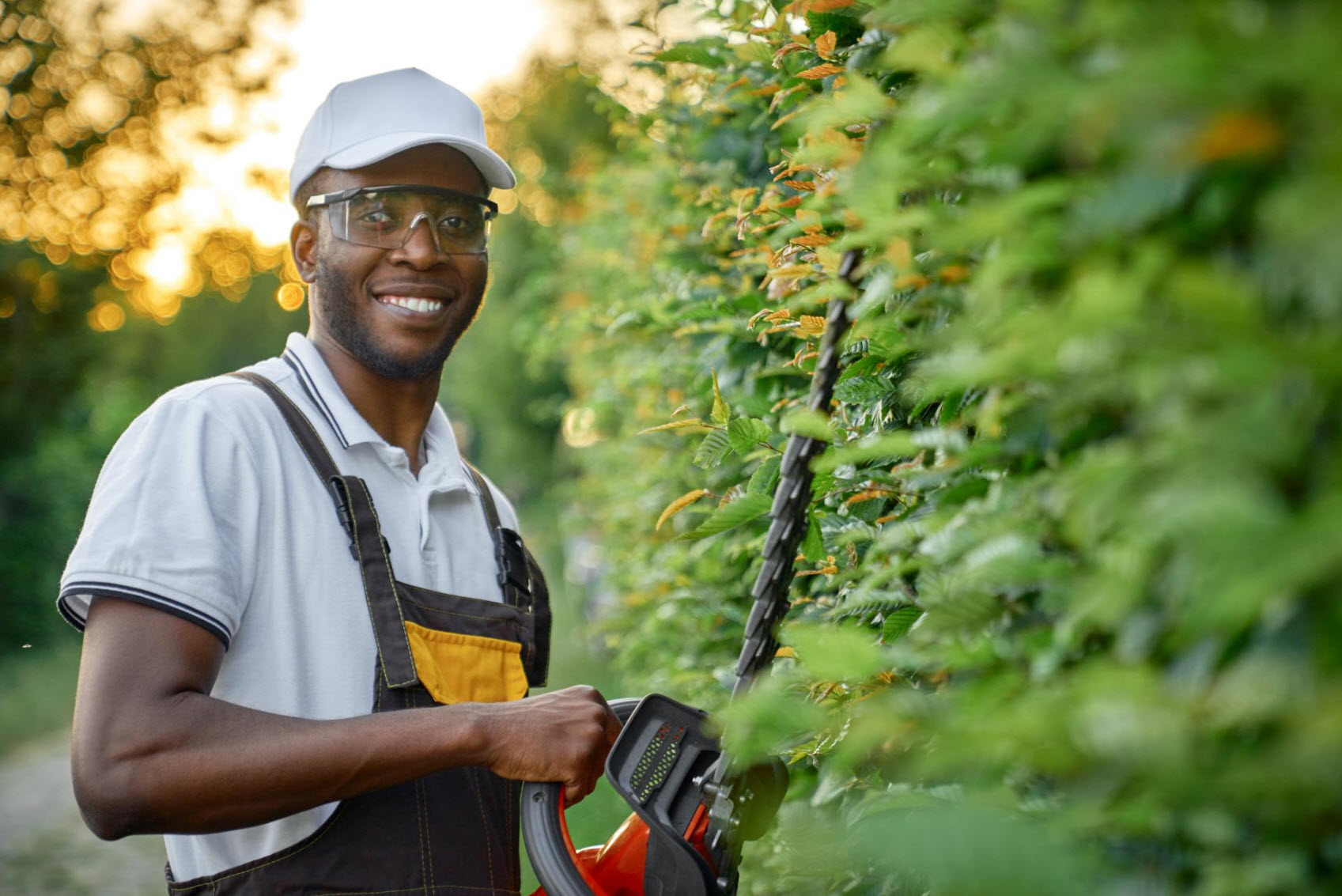 Tree Trimming and Pruning