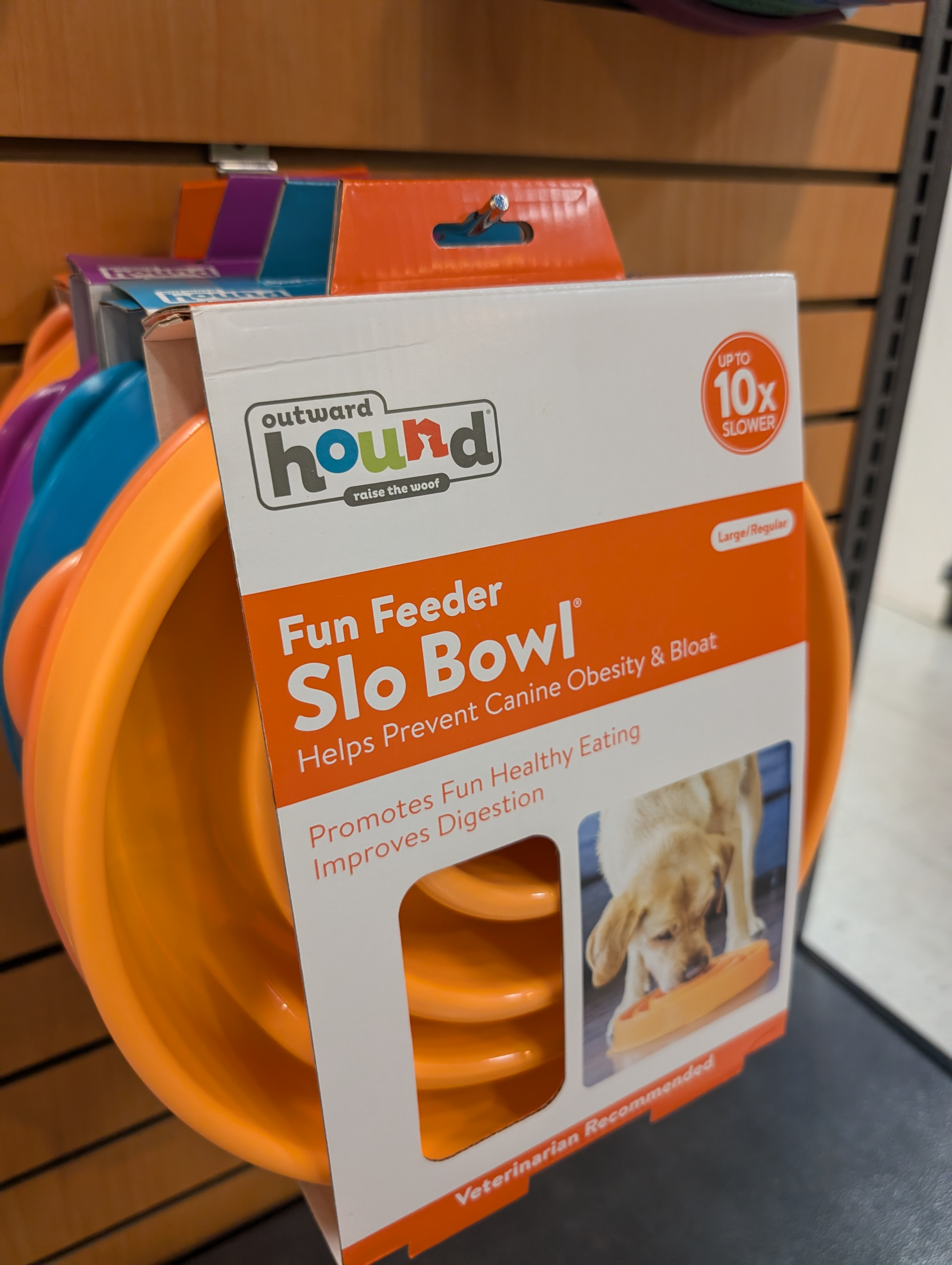 Bowls, Slow Feeders & Fountains