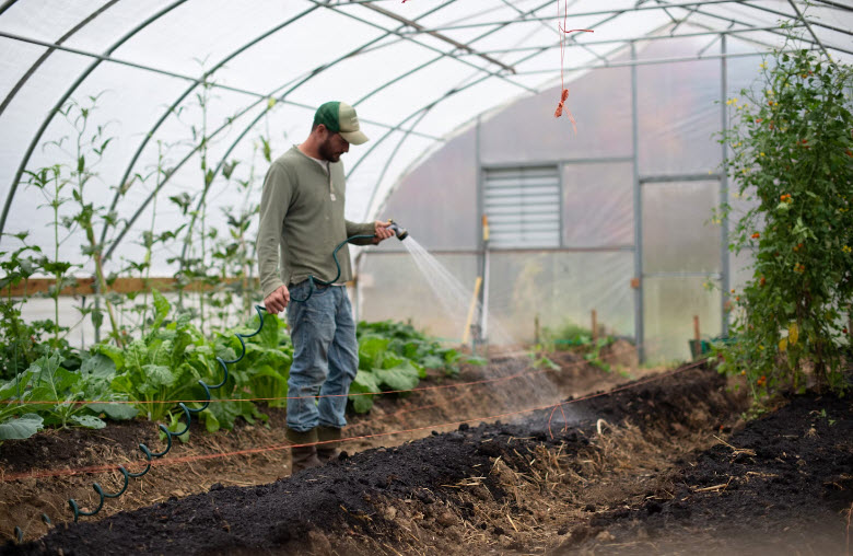 Garden Maintenance