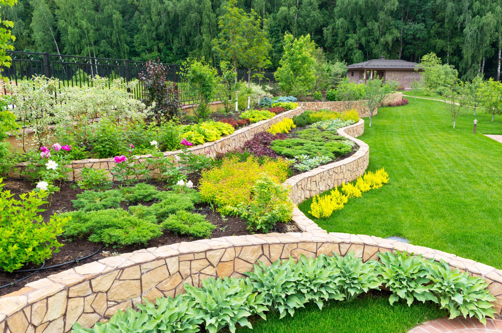 Landscape Design and Installation