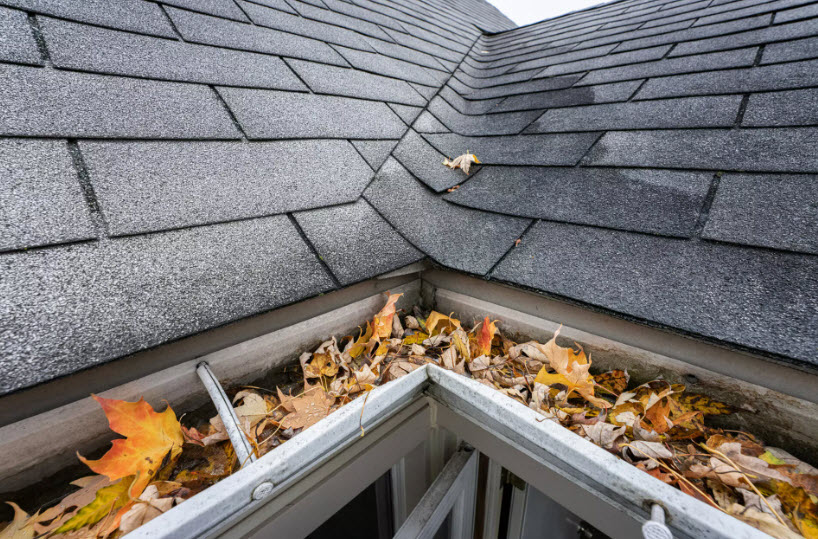 Roof Leak Repair