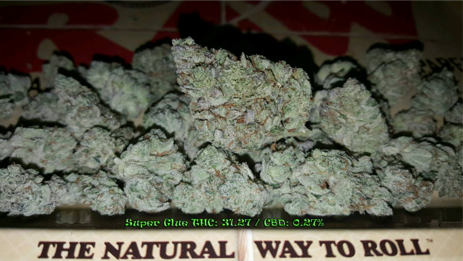 Super Glue (Indica Dominant Hybrid)