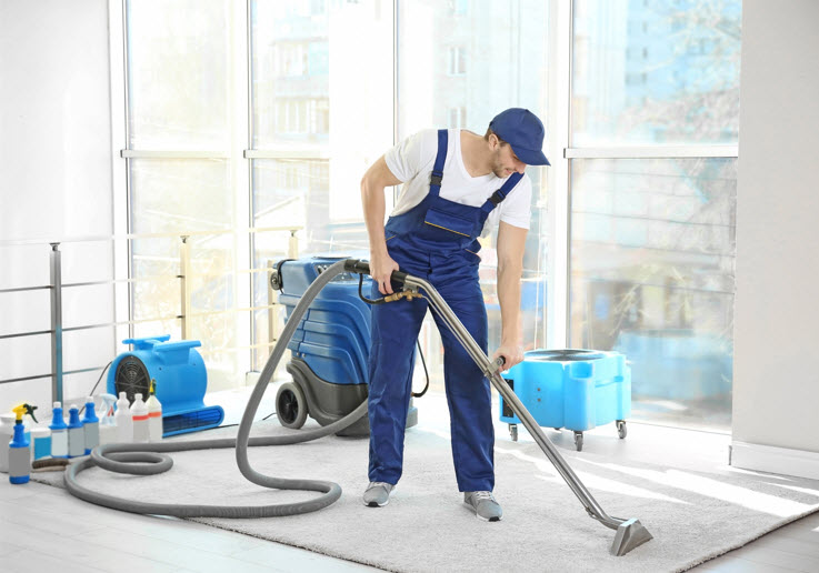 Carpet and Upholstery Cleaning