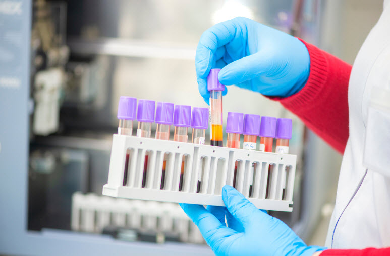 Lab Testing