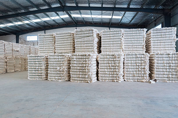 Cottonseed Handling & Sales
