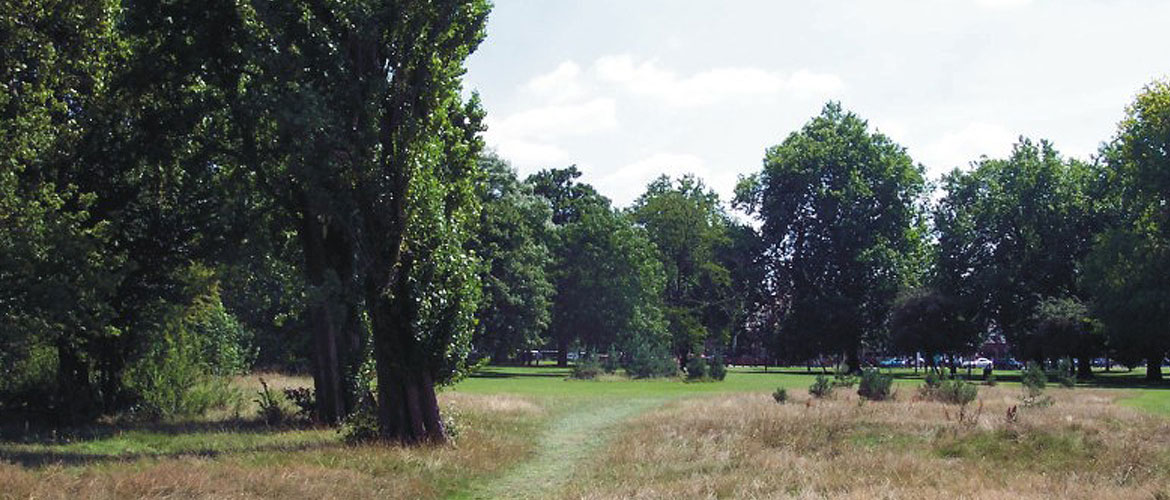 Parks