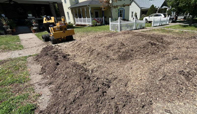 Shrub Stump Removal