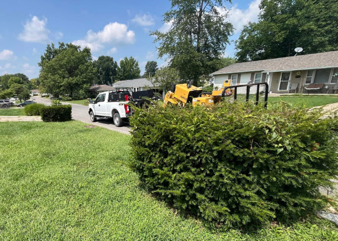 Residential Stump Removal