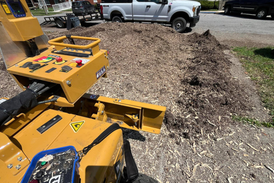 Commercial Stump Removal