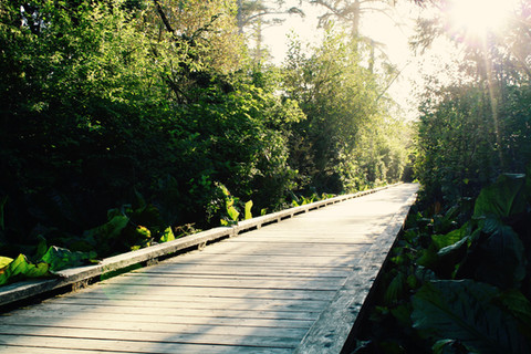 Experience the Oregon Coast