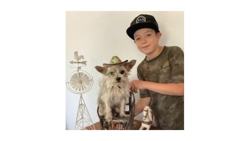 My Pets Talents