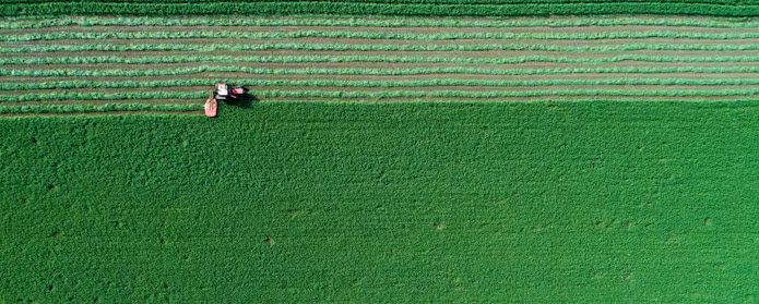 Sustainable Farming In The Desert