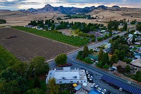 Drone Services