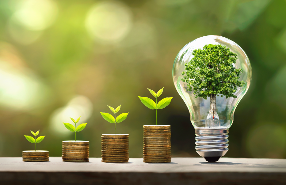 Carbon Neutral Initiatives