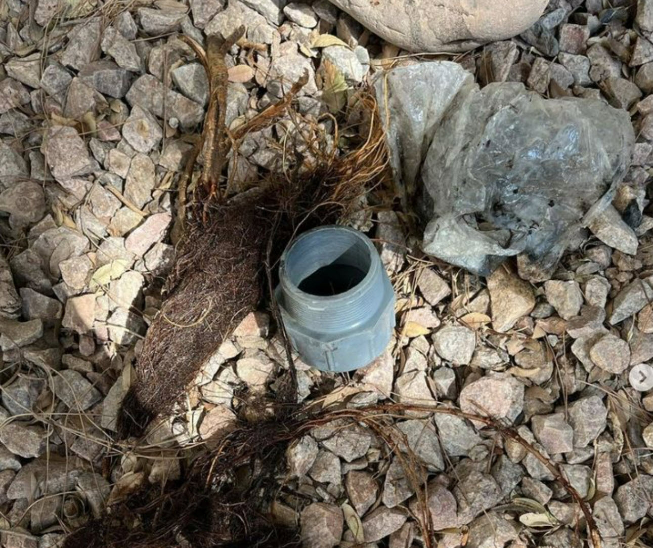 Sewer Lines