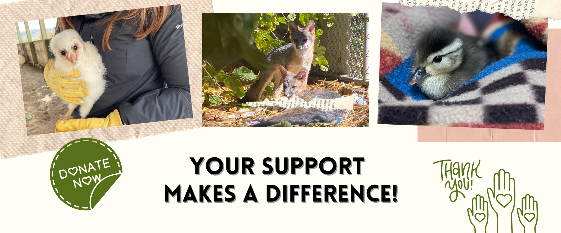 Support Chintimini Wildlife Center