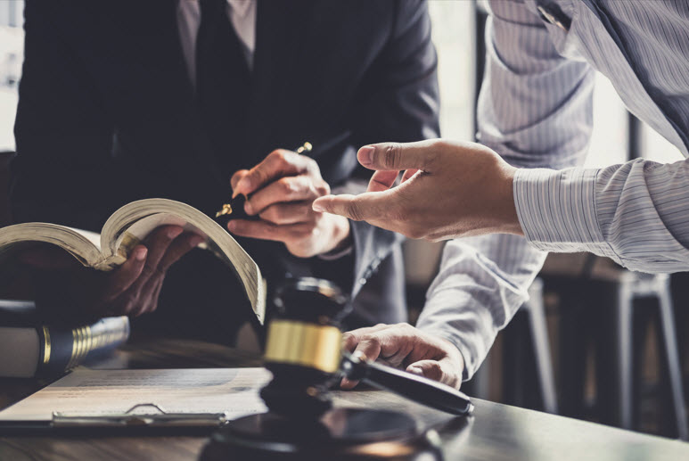 Business Litigation