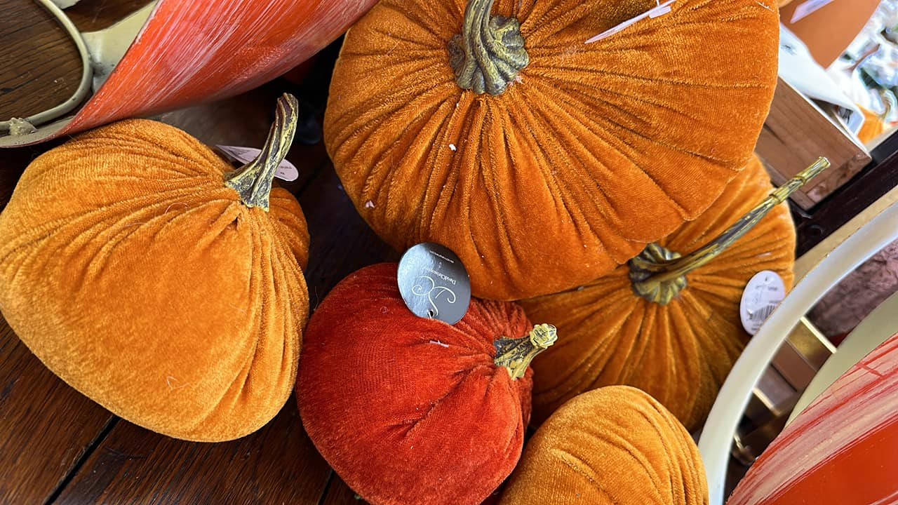 Seasonal Products