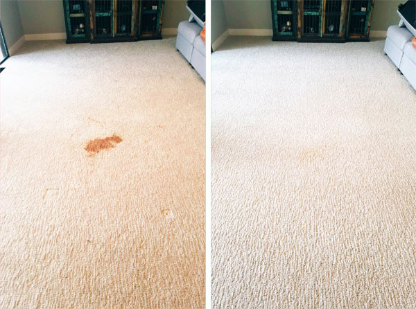 Pet Stain and Odor Removal