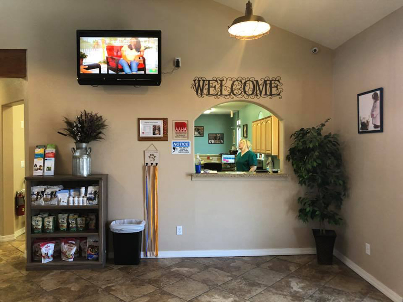 Book Appointment	