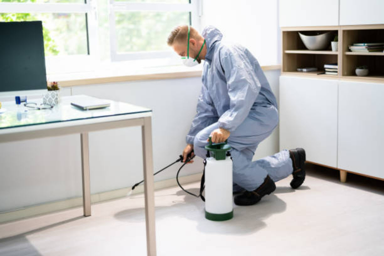 Pest Control