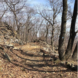 Hit The Trail