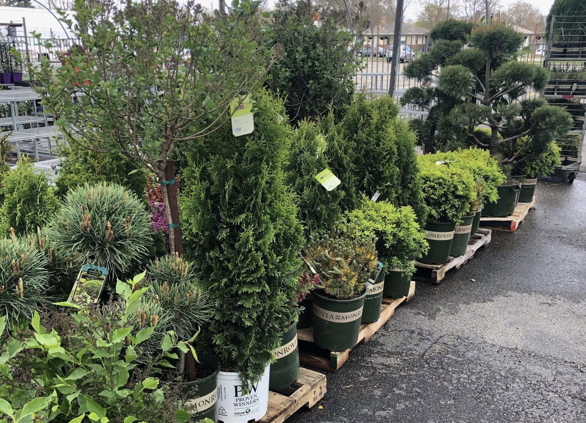 Garden Center
