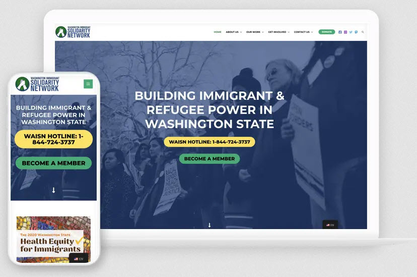 Website Design Packages 