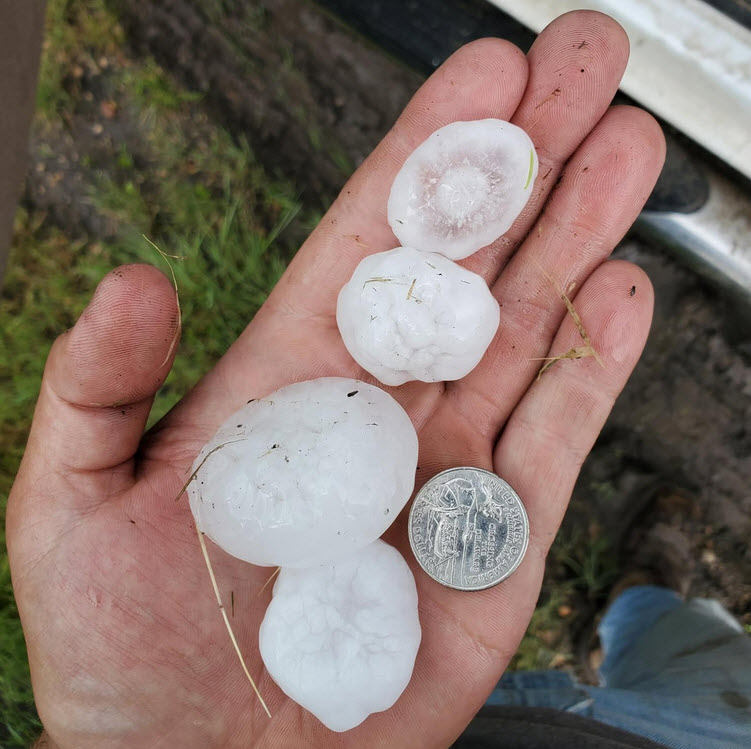 Crop Hail Insurance