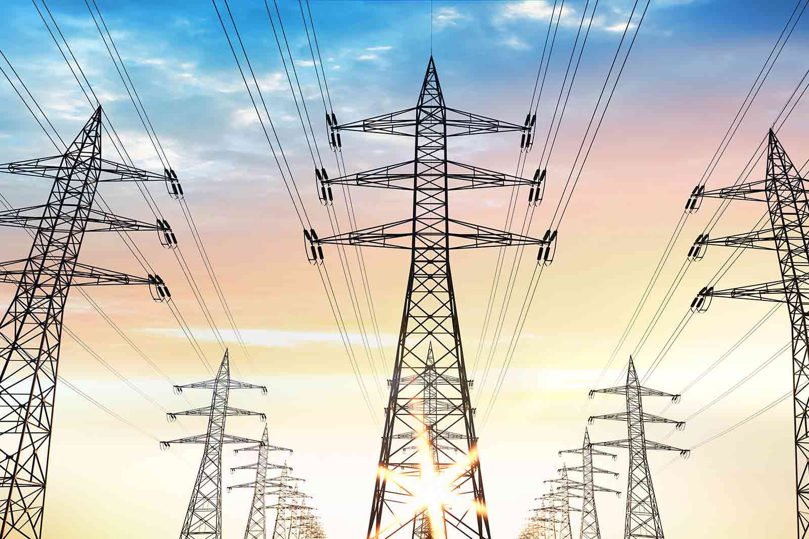 Wholesale Energy Services and Energy Management