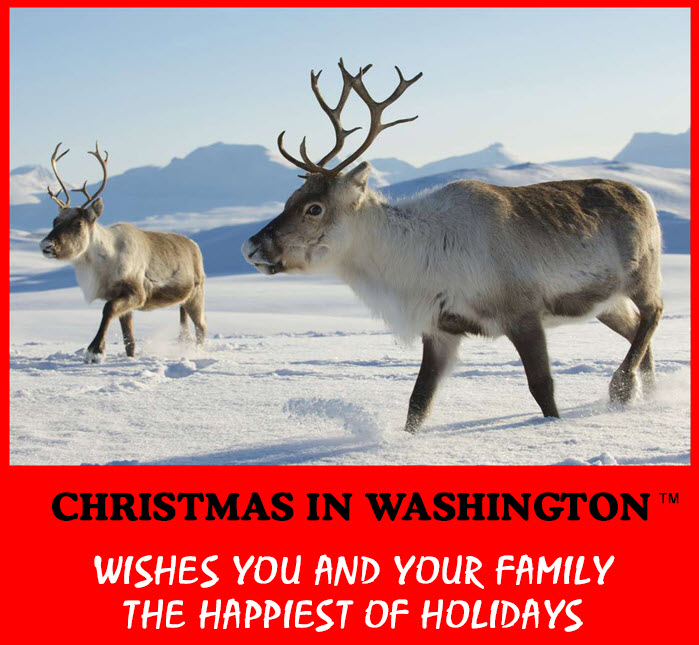 Christmas in Washington