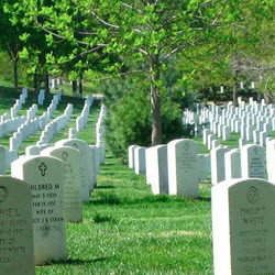 Veterans Headstones