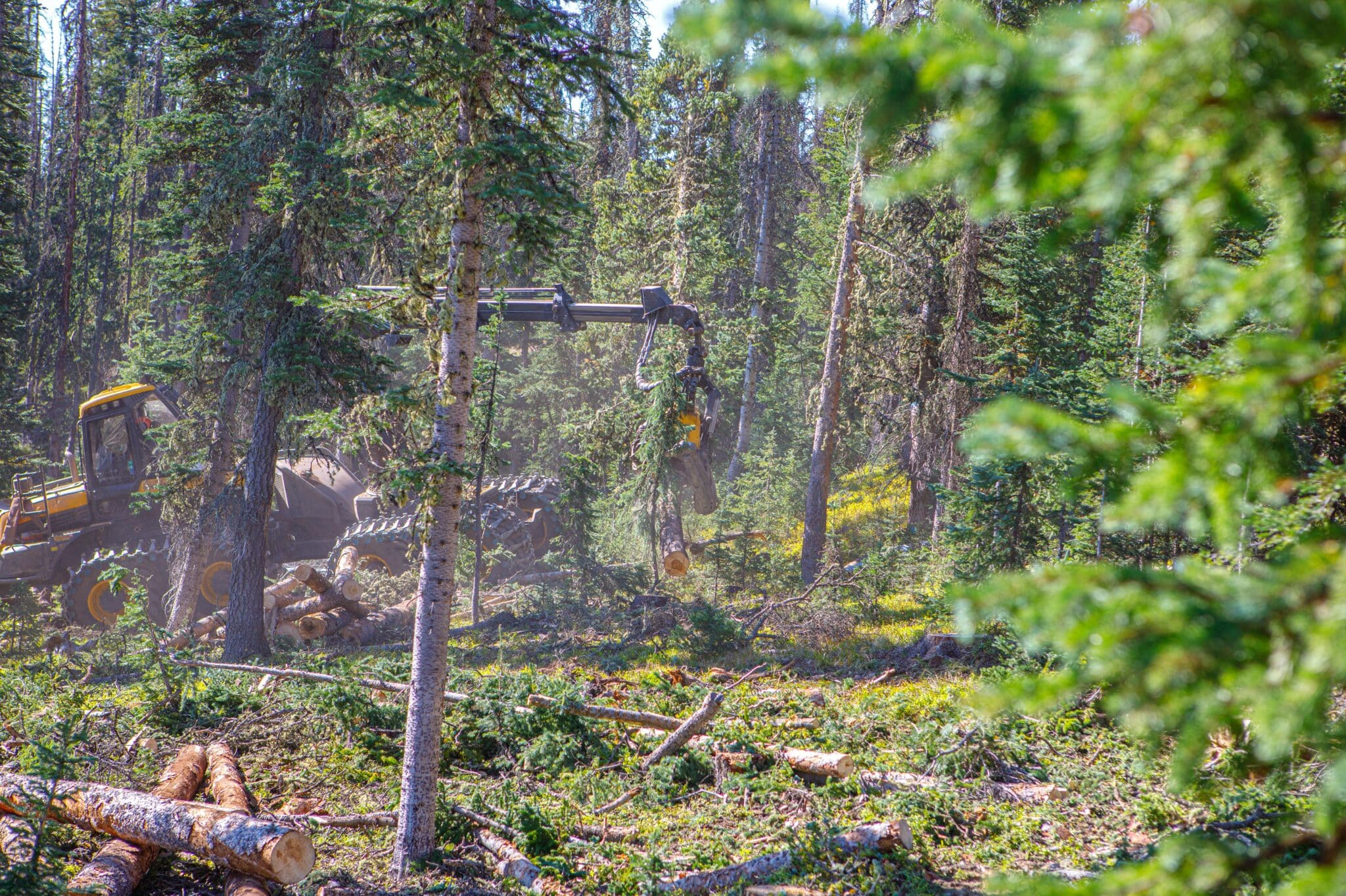 Harvesting