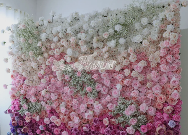 Designer Backdrops