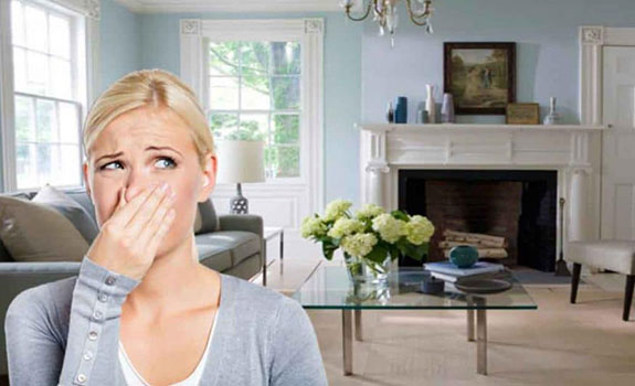 Residential Odor Removal Services