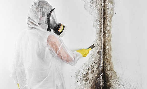 Mold Remediation