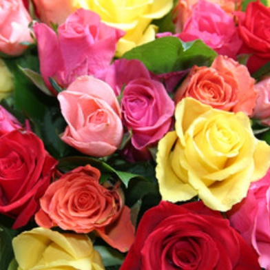 Floral Department