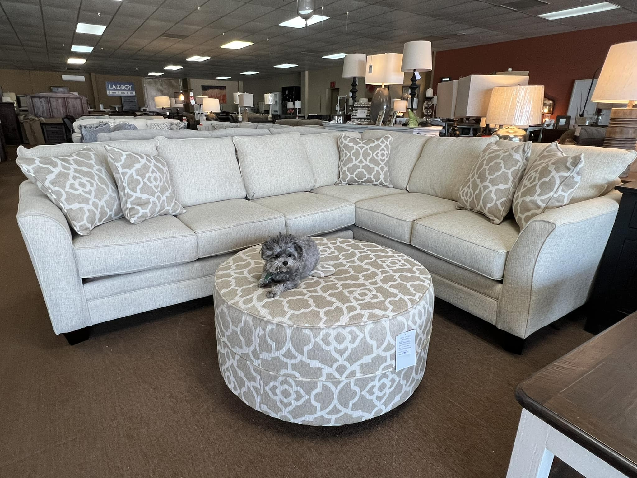 Living Room Furniture