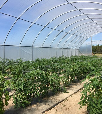 Agribusiness Loans